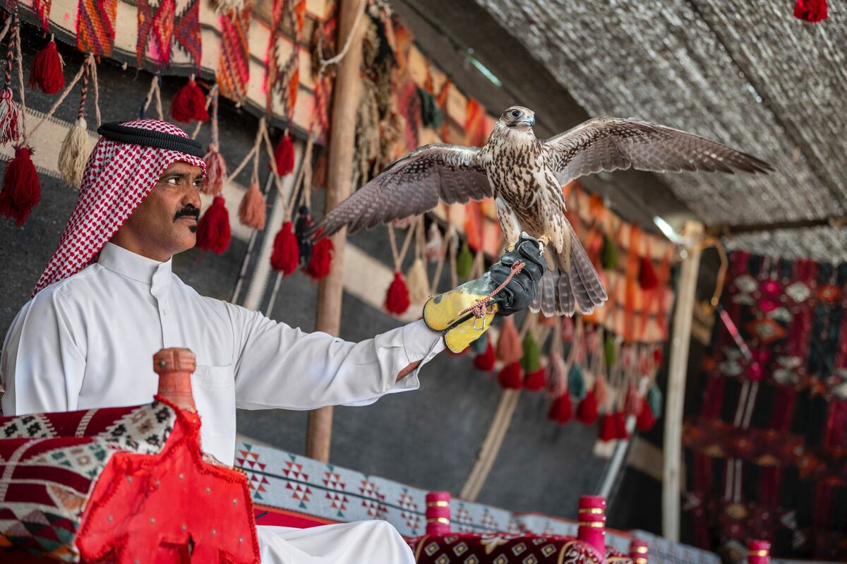 2025年大阪・関西万博 サウジアラビア王国館】伝統的なハヤブサ狩り
