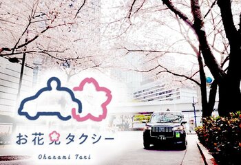 多種多様な桜の風景を快適に楽しめる！日本交通グループ「お花見タクシー」期間限定運行