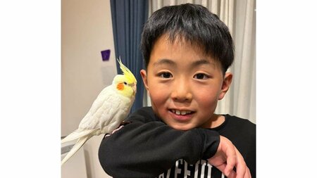 「笑いとまらん」男の子の宿題を邪魔するオカメインコに反響！熱視線を送り遊んでもらう姿に「どっちも天使？」【激かわアニマル＆キッズ奇跡の瞬間】