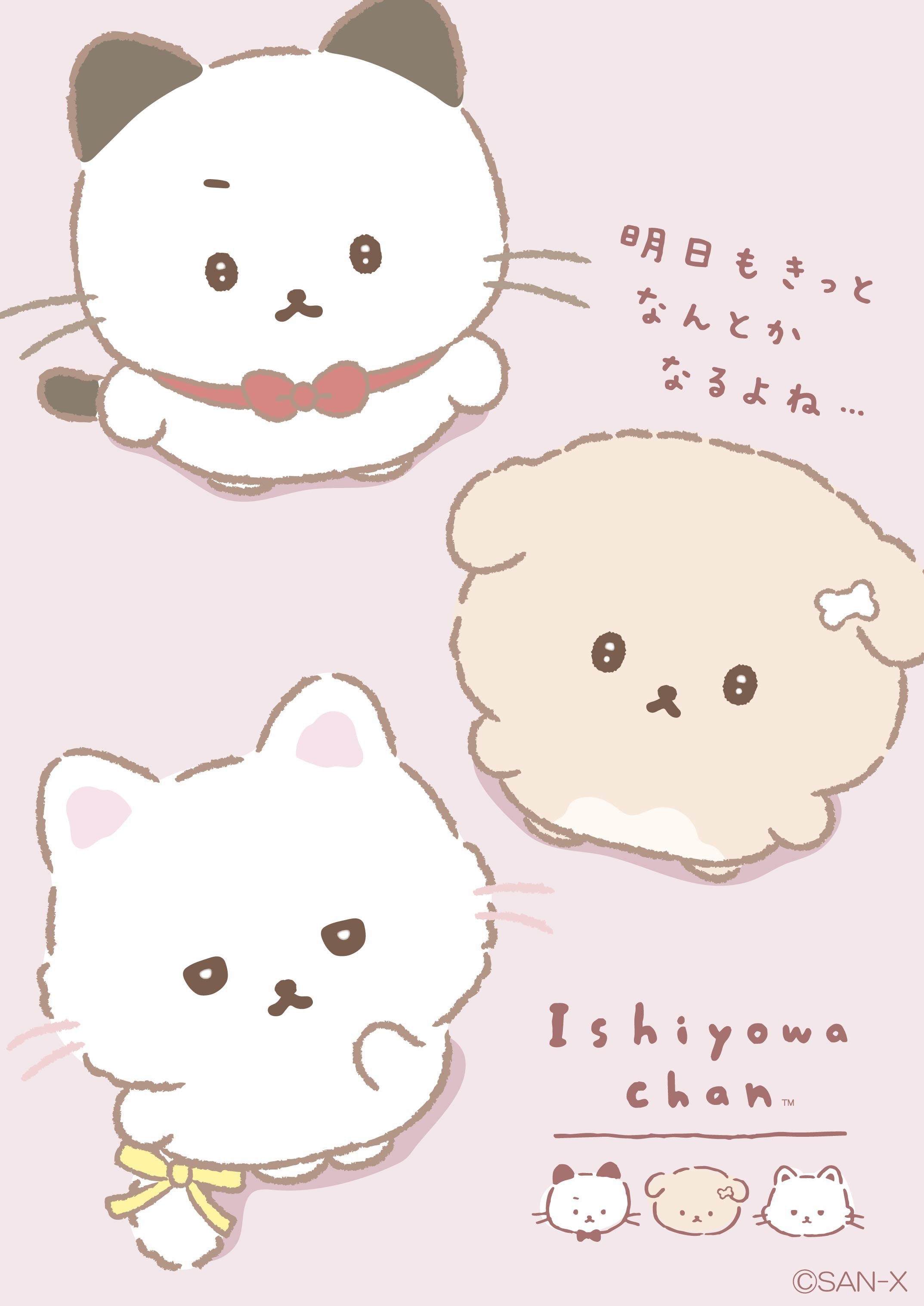 img_1764c00464e9cee8c8560c0c9f