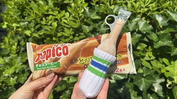 SNSで話題！「パピコセーター」愛犬やミャクミャクに着せて楽しむ人が続出！ファミリーマート限定カラーが「かわいすぎる」と大人気！