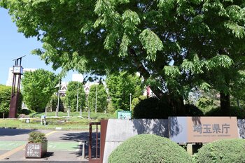 【埼玉県】夏のスタートは県営公園で！7月の県営公園で遊ぼう