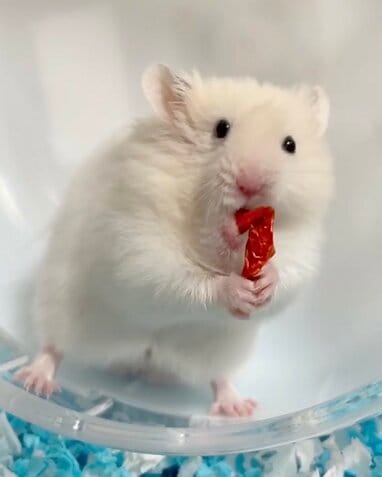 img_1751c4b94471cfe38c14b4778d