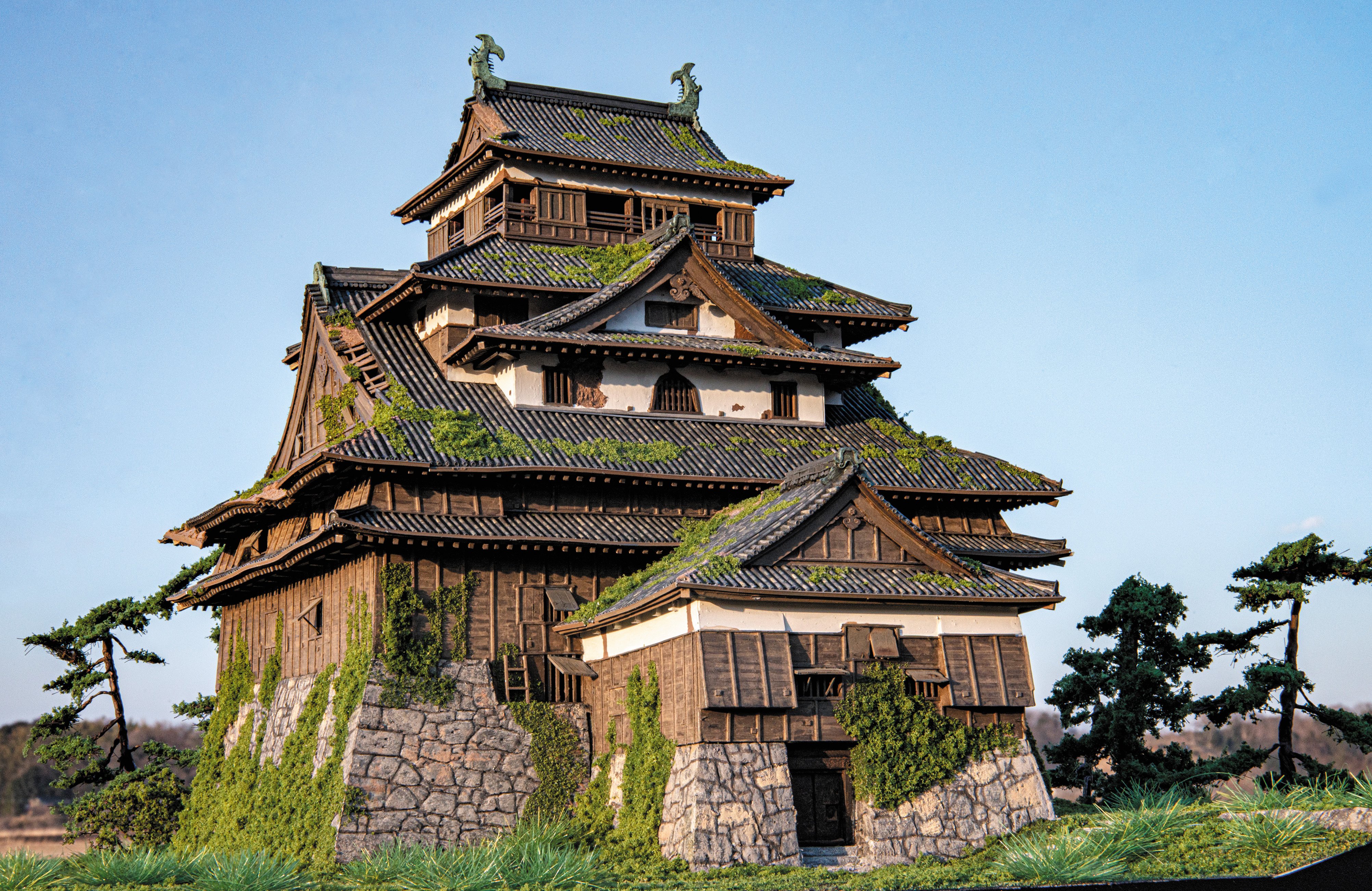 img_1949cbdf6ddfe6f3c07024d70e