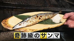 サンマが豊漁！大ぶりで脂がのっている“奇跡級のサンマ”　値段も去年の半額に「過去10年で一番」プロが教えるおいしいサンマの焼き方