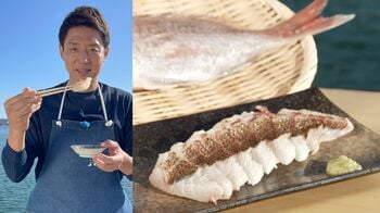 松岡修造が真鯛さばきに挑戦！今が旬の真鯛の炙りに「うまいわこれは！」を連発