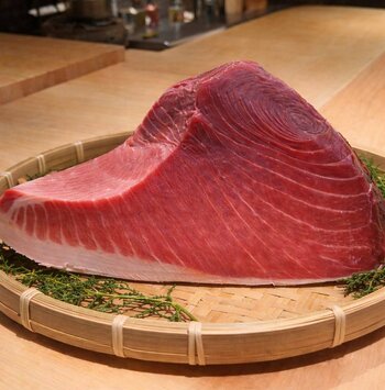 【六本木 鮨悠】大間産本鮪 期間限定コース3万3,000円（税込）提供開始｜30年の職人技と京懐石の美学が交わる、一期一会の鮨体験