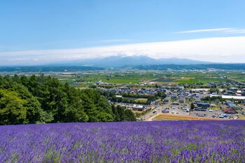 日動がJALとタッグ 「JALオーベルジュ富良野」JAL初のオーベルジュ事業の全国1拠点目は北海道中富良野町 2026年冬開業へ