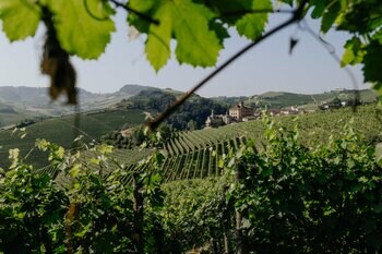 【リーガロイヤルホテル京都】～イタリアワインジャーナリスト 宮嶋勲 × フレンチダイニング トップ オブ キョウト シェフ 寺田篤史～「イタリアワインと京フレンチの饗宴」開催