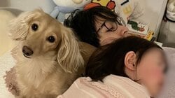 2歳女の子＆わんこが出張帰りのパパを“熱烈大歓迎”！取り合うような幸せあふれる光景に「疲れも吹っ飛んじゃう」【激かわキッズ＆アニマル奇跡の瞬間】