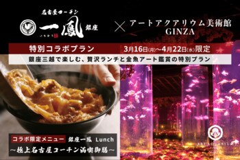 銀座三越で過ごす、春のおでかけ 名古屋コーチン一鳳 銀座×アートアクアリウム美術館 GINZA