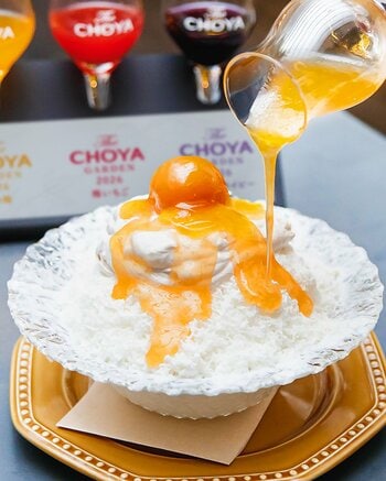 紀州産の完熟南高梅を使用したかき氷やチーズケーキに梅酒カクテル！梅のシーズンを満喫できるポップアップストア「The CHOYA GARDEN 2026」を梅酒の日の6月11日より開催！