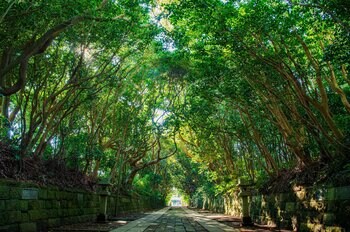 【酒列磯前神社】 7/19（日）は・・・「天赦日」×「一粒万倍日」×「大安」！　令和８年最大の開運日、”限定ご朱印” 頒布決定