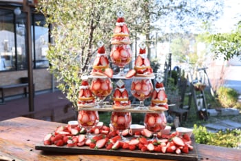 正月明けの初営業日から提供開始！自社農園の完熟いちごを最大６個盛り「べりーちゃんのいちごタワーパフェ」登場！