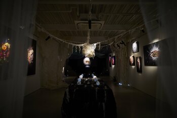 【国内初個展／6月29日(月)まで】Artist Rinaによるインスタレーション『食の鼓動 - The Pulse of Food -』を大阪・心斎橋で開催中
