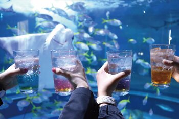 今年の夏は『アトア』で！お盆の営業時間を延長！