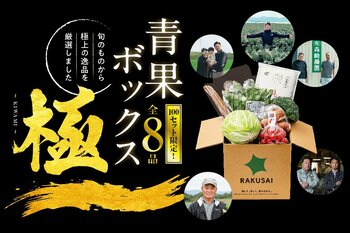 厳選野菜のプレミアムボックス RAKUSAI『青果ボックス～極(きわみ)～』