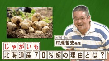 北海道のじゃがいも生産量が全国7割超えの理由は？『ネプリーグ』で放送の＜豆知識＞