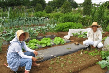「土に触れ、食の大切さを学ぶ」北杜市で田植え体験イベントを開催！参加者を募集中