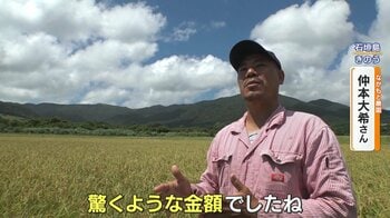 “青田買い”石垣島で新米の収穫始まる　県外業者から問い合わせ「農協と比べても、驚くような金額」一方で害虫や害獣被害も…