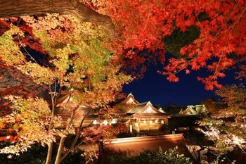 通常非公開の風月殿で芸舞妓鑑賞・呈茶を体験 ～北野天満宮「夜の特別参拝」をダイナースクラブ会員限定で開催～