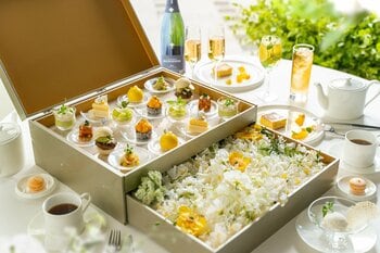 新緑が美しいグラングリーン大阪で楽しむ初夏のアフタヌーンティー　彩り豊かなスイーツが並ぶ「Early Summer Palette」が５月１日（金）より提供スタート／ザ ジャクソン ガーデン