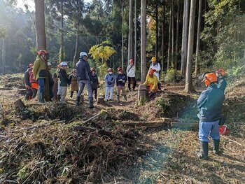 チェーンソーでの木こり体験から親子で学ぶ子ども樹木博士まで！～丹波篠山市が取り組む、里山とつながる実践プログラム～