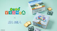 白い恋人と『あつ森』が夢のコラボ！人気キャラクター「ジュン」の表情が変わる仕掛けがかわいい限定缶が数量限定で登場