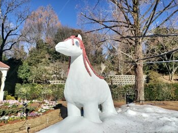 2026年は午年（うまどし）！パーク内の「うま」をご紹介