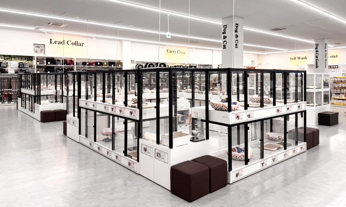 P's-first須坂店オープンのお知らせ | めざましmedia | “好き”でつながる