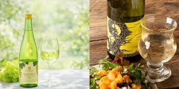 2025年産の新酒が解禁。サンクゼールの人気No.1ワイン「ナイアガラブラン」と「長野竜眼」を4月28日より順次販売開始