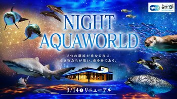アクアワールド・大洗のナイトプログラム「NIGHT AQUAWORLD」が、３月１４日(土)よりリニューアル！