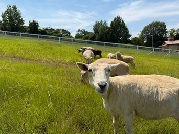 「動物たちのため」のリニューアル【ハーベストの丘】