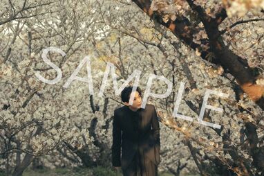 吉沢亮 2024年カレンダー発売決定！美しい日本の四季とともに撮影