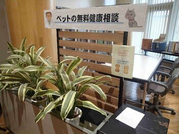 【６月２7日（土）開催】「るもい保護犬猫譲渡会２０２6」を開催します。