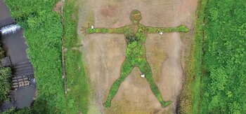 古くから薬草と深いゆかりのある多気町に、“人型のランドスケープアート”誕生！人型をした巨大なハーブ畑がVISONに登場