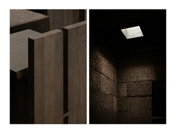 Norm Architectsと芦沢啓治が手がける展覧会『Forest Conversations』