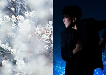 蜷川実花 with EiMが手がける「KYOTO NIPPON FESTIVAL」DAZZLEと送るイマーシブ公演「花宵の大茶会」３月20日開幕