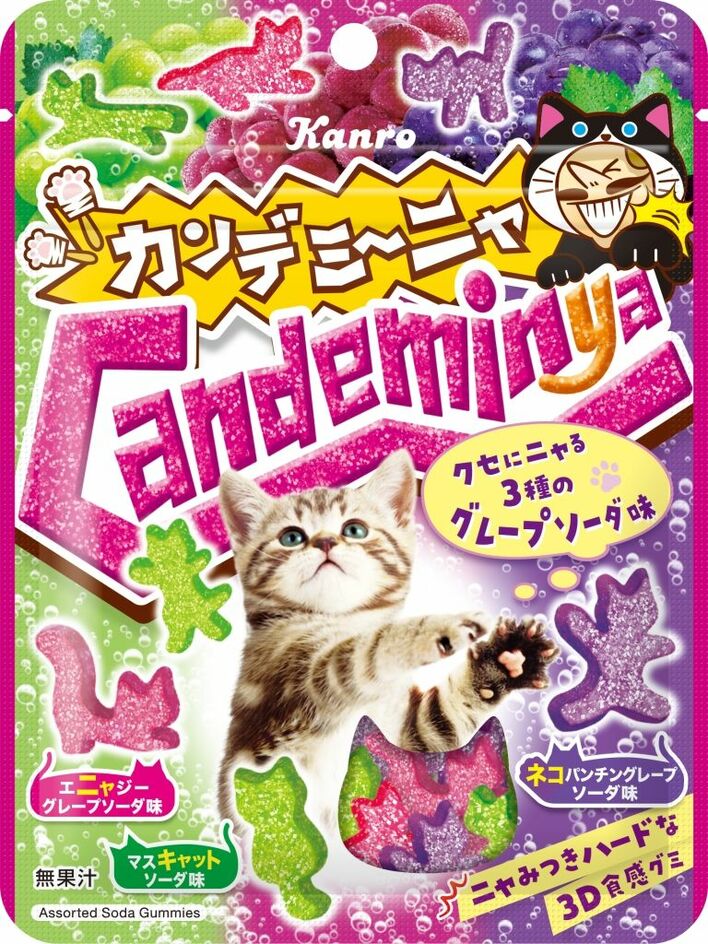 プレートとネコ。クロネコです。 コスプレした黒猫 1枚に「そっくり」「配達、お疲れ様です
