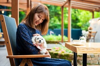リブランドオープン「別府 丘と海のドッグリゾート」　リニューアル記念3大特典付プラン販売開始｜2026年8月31日まで