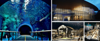 琵琶湖博物館30周年記念事業 ナイトミュージアムを今週末に実施します！