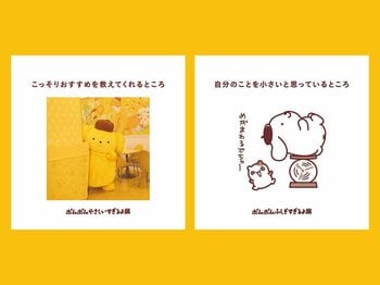 2026年4月10日（金）よりスタート『POMPOMPURIN 30th Anniversary』第2弾情報を公開 「ポムポムすぎるよ展」の展示ビジュアルを一部先行公開！