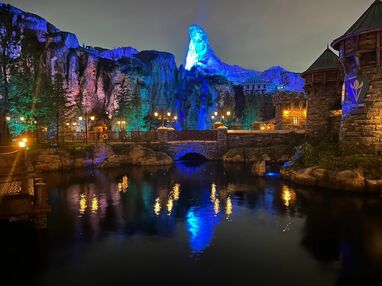 Disney - haru♡様/ファンタジースプリングス/アナ雪/ラプンツェル 写真22枚】ディズニー新エリア 夜の『アナ雪』『ラプンツェル