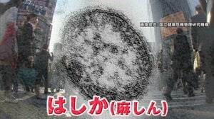 【全国で拡大】はしか感染前年比3.5倍20代が最多感染 “ワクチン1回世代”で急増のワケ 専門医に聞いた「今からできる対策」とは