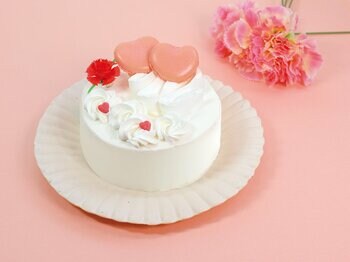 「ありがとう」の気持ちを込めて、母の日をお祝い！ 不二家洋菓子店　ネット予約受付サイト「FUJIYA-Sweets.com」母の日商品