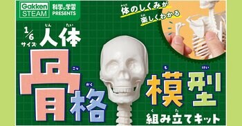 つくって・はって・動かして　人体骨格模型で体のしくみが楽しくわかる本格キットが新発売！　人体白地図パネルや器官系シート、内臓シールつき