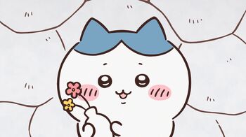 アニメ『ちいかわ』　第161話「ほめられリボン②」