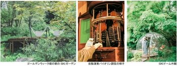 ROKKO森の音ミュージアム ゴールデンウィーク期間限定 朝のSIKIガーデン＆楽器準備公開 自動演奏バイオリンの調弦など公開実演