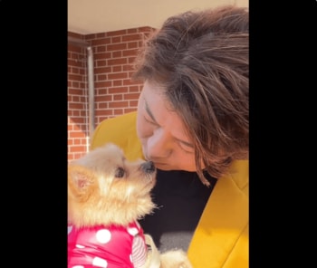 ワンコにメロメロ♡な上川隆也のかわいい姿にファン大興奮！「ずっと見ていられる」「たまらん」『問題物件』