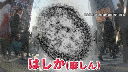 【全国で拡大】はしか感染前年比3.5倍20代が最多感染 “ワクチン1回世代”で急増のワケ 専門医に聞いた「今からできる対策」とは